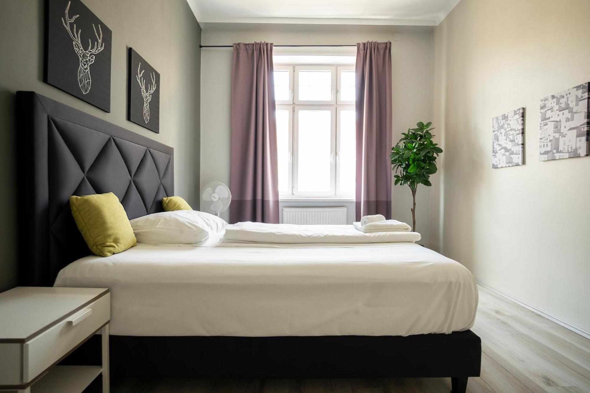 Brand New Renovated Near Augarten Vienne